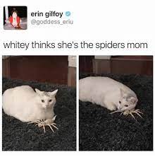 Check spelling or type a new query. 25 Best Memes About Erin Gilfoy Erin Gilfoy Memes