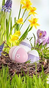 Easter Wallpapers Galaxy S11 Easter Wallpaper Easter Floral Arrangement Easter Photography