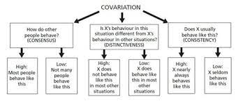 Social Psychology Chapter 4 Flashcards Quizlet