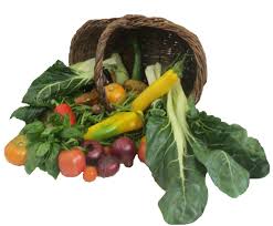 Maraichers A Montceau Les Mines 71300 Legumes En Vente Directe Producteur