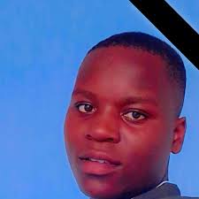 Daniel Tamaki in people