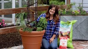Spaghetti Planter! 🌿🍝😊