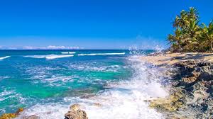 Study With Waves Perla Marina Relaxing Ocean Sounds Background Youtube Ocean Sounds Ocean Ocean Music