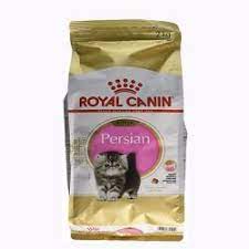 pin by ramlah isahak on cat food persian kitten royal canin kitten