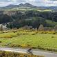 Local Destination Development Meetings -  Eildon  event image