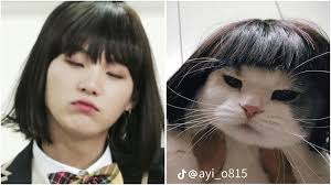 I magnifici 7💜❤️‍🔥