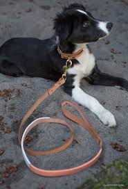 Doggie design harness, low prices, free shipping & 24/7 support, shop now! Create Your Own Leather Dog Collar Leash Lia Griffith