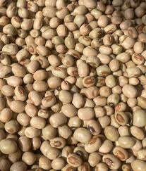 Image result for Sphenostylis