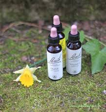 Pin By Eugenie On Florais De Bach In 2020 Bach Flower Remedies Flower Remedy Shampoo Bottle