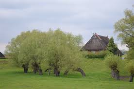 Schauen sie sich 0 bilder an und lesen sie 0 bewertungen. Biospharenreservat Niedersachsische Elbtalaue Home Facebook