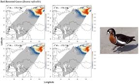 Radioactive isotopes have unstable nuclei so they emit radiations in the form of beta, gamma and alpha rays. Use Of Stable Isotopes To Trace Bird Migrations And Molecular Nuclear Techniques To Investigate The Epidemiology And Ecology Of The Highly Pathogenic Avian Influenza D32030 Iaea