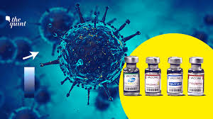 In de verenigde staten overwegen sommige scholen om de leraren en personeel een vaccinatie verbod op te leggen op straffe van ontslag op staande voet. India S Covid Crisis Why Icmr And Centre Should Take Their Regulatory Roles Seriously Opinion