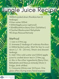 Berry Elixir Jungle Juice Recipe Best Recipes Around The World Jungle Juice Recipe Jungle Juice Juicing Recipes