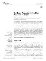 | interactions between stress/response signaling cascades and cell cycle regulation. Pdf Cell Cycle Regulation In The Plant Response To Stress