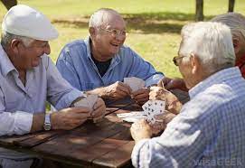 You were looking for a card game? What Are Some Different Types Of Card Games With Pictures