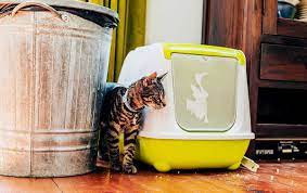 Older, heavily used wood floors' porosity makes the problem even worse since the urine is allowed to soak into the wood. How To Get That Catty Smell Out Of Your Home Catster