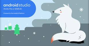 Android 5.1.1 atau lebih tinggi dan setidaknya memori 2 gb. Android Developers Blog Android Studio Arctic Fox 2020 3 1 Stable