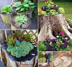 How To Create A Tree Stump Planter Tree Stump Planter Garden Trees Backyard Garden