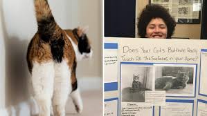 Our pet grooming wipes help control shedding, removes dander and allergens, plus freshens and cat wipes and deodorizers make it easy to keep them looking their best. Florida Boy Studies What A Cat S Butt Touches In Your Home For Science Fair Iheartradio