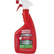 2020 Best Pet Stain Removers Odor Eliminators Pawgearlab