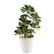 Composition avec des plantes grasses with massif plante grasse. Plante Grasse Artificielle D Exterieur En Pot Niche Cadeau