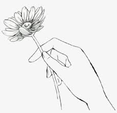 Drawing anime manga holding hands, anime, love, child png. Drawn Manga Black And White Anime Flower In Hand Drawing Transparent Png 1339x1162 Free Download On Nicepng