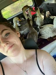 Jacklyn Rossi's Instagram, Twitter & Facebook