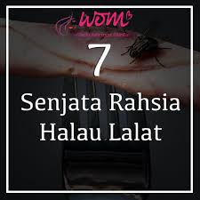 Sebenarnya mungkin banyak lagi cara nak halau lipas dalam kereta yang mungkin ramai sudah tahu. Pin On 7 Senjata Rahsia Halau Lalat