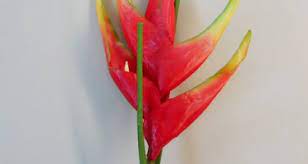 Artificial tropical flowers for sale. Exotic Flowers Tropical Artificial Flowers