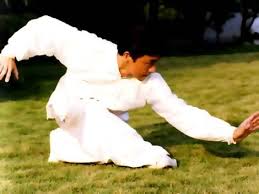 Pin By Sebastien Chagnon Jean On Xingyi Martial Arts Martial Animals