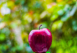 сказка о мёртвой царевне и о семи богатырях краткое содержание Http Chitatelskij Dnevnik Ru Kratkoe Soderzhanie Pushkin Skazka O Myortvoj Carevne I O Semi Bogatyryah