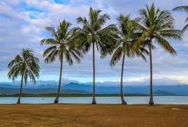 Legnépszerűbb port the beach shack restaurant, port douglas. Best Things To Do In Port Douglas Australia