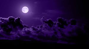 Check spelling or type a new query. Moon In Dark Purple Black Cloudy Sky Background Hd Dark Purple Wallpapers Hd Wallpapers Id 55834
