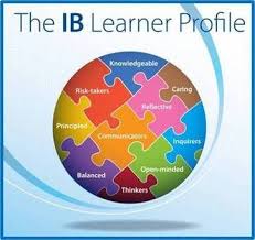 Pin On Ib