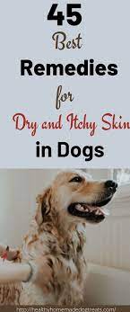 Makeup Remedies Dry Skin Dogs Remedies Dry Skin On Face Skin Care Dry Skin Care Dogs Dry Face M In 2020 Dog Dry Skin Remedy Dog Dry Skin Dry Skin Remedies