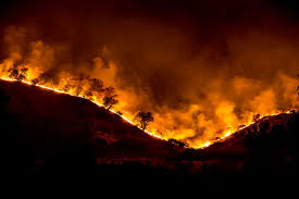See current wildfires and wildfire perimeters in oregon on the fire, weather & avalanche center wildfire map. Wildfires How Do They Affect Our Water Supplies Us Epa