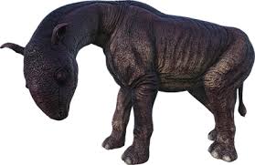 Image result for Paratheria