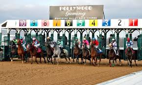 Equibase Horse Racing Horse Racing Entries Horse