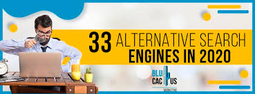 See more ideas about cactus, cactus party, cactus diy. Say Bye To Google And Use These 33 Alternative Search Engines Blucactus