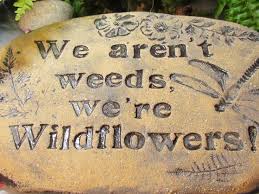 Some see a weed, some see a wish. Quotes About Weeds And Wildflowers We Aren T Weeds We Re Wildflowers Garden Quotes Signs Wild Flowers Natural Garden