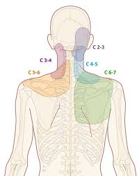 While the headaches are often felt at the back of the head, the. Is It Normal To Get Headaches Everytime I Bend My Neck Down Or Twist It To Look At Something Behind Me Quora