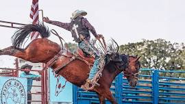 Ogle County Fair