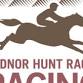 Radnor Hunt Races event image
