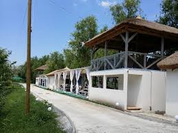 Get quick answers from restaurant pescaresc la peste lintesti staff and past visitors. Metafish Restocracy