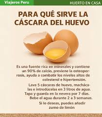 Lo que muchos consideran basura, en realidad es una poderosa fuente natural  de calcio y minerales. La cáscara del huevo contiene hasta un 90% de calcio  puro, ideal para fortalecer tus huesos,