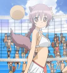 Dango dango adlı kullanıcının koleksiyonu. Biscotti Volleyball Anime Manga Know Your Meme