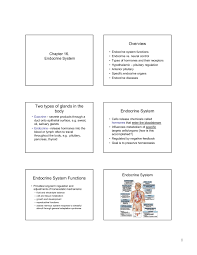 Chapter 16 Endocrine System North Seattle College Flip Ebook Pages 1 20 Anyflip Anyflip