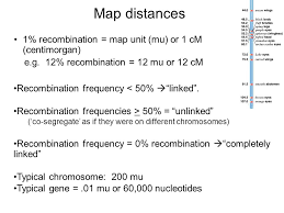 We find that recombination rates and levels of genetic variation are strongly correlated, which is citation: Genetic Mapping Outline Study Guide Ppt Video Online Download