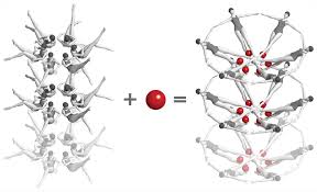 Dna and rna are polymers of monomers called nucleotides, each of which is composed of a nitrogen base, a a characteristic feature that differentiates dna from rna is that dna contains nitrogen bases such as adenine. X Ray Laser Gets First Real Time Snapshots Of A Chemical Flipping A Biological Switch Chemical X Ray Snapshots