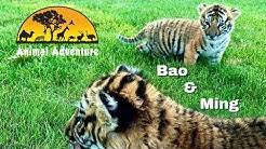 Check spelling or type a new query. Animal Adventure Park Youtube